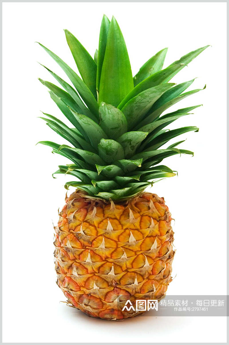 精品菠萝水果食品图片素材