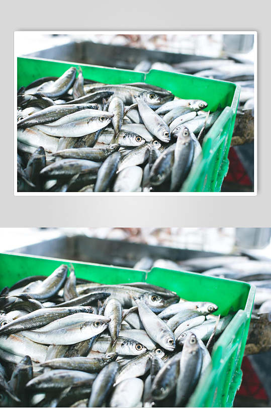 清新市场水产品海鲜餐饮食品图片