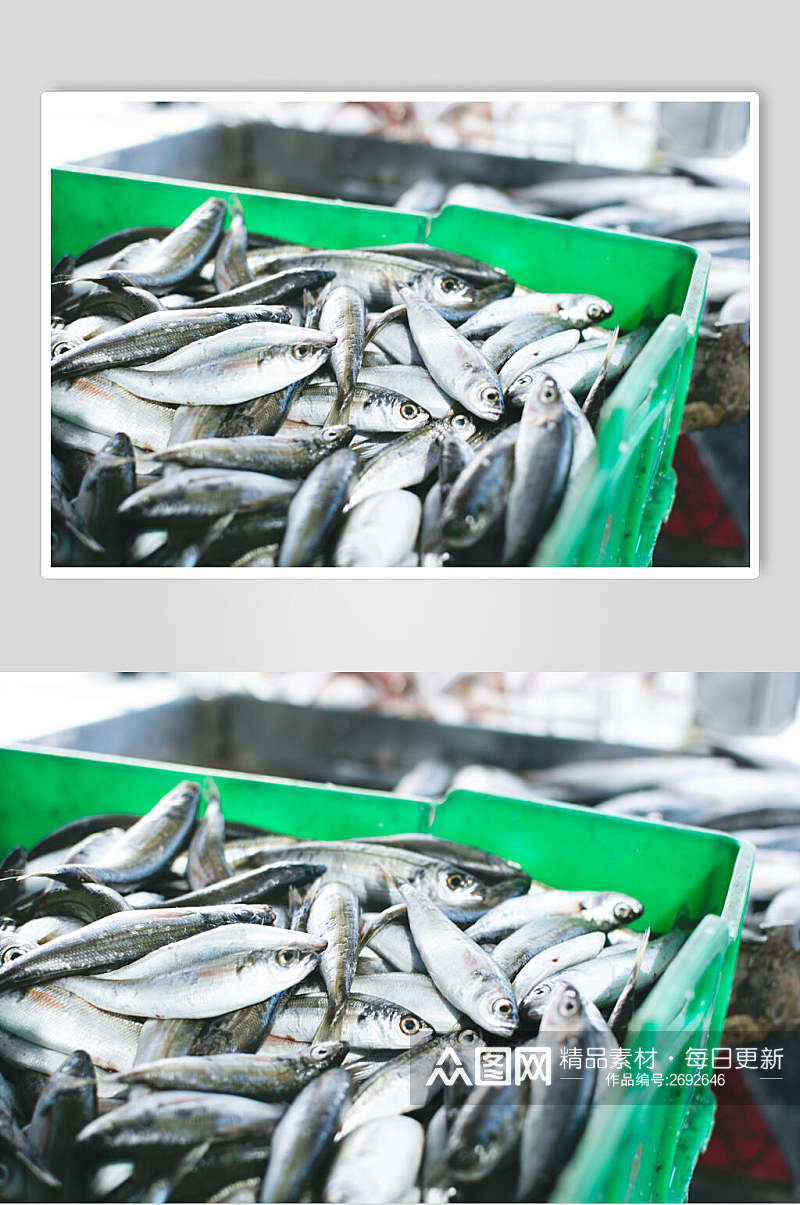清新市场水产品海鲜餐饮食品图片素材