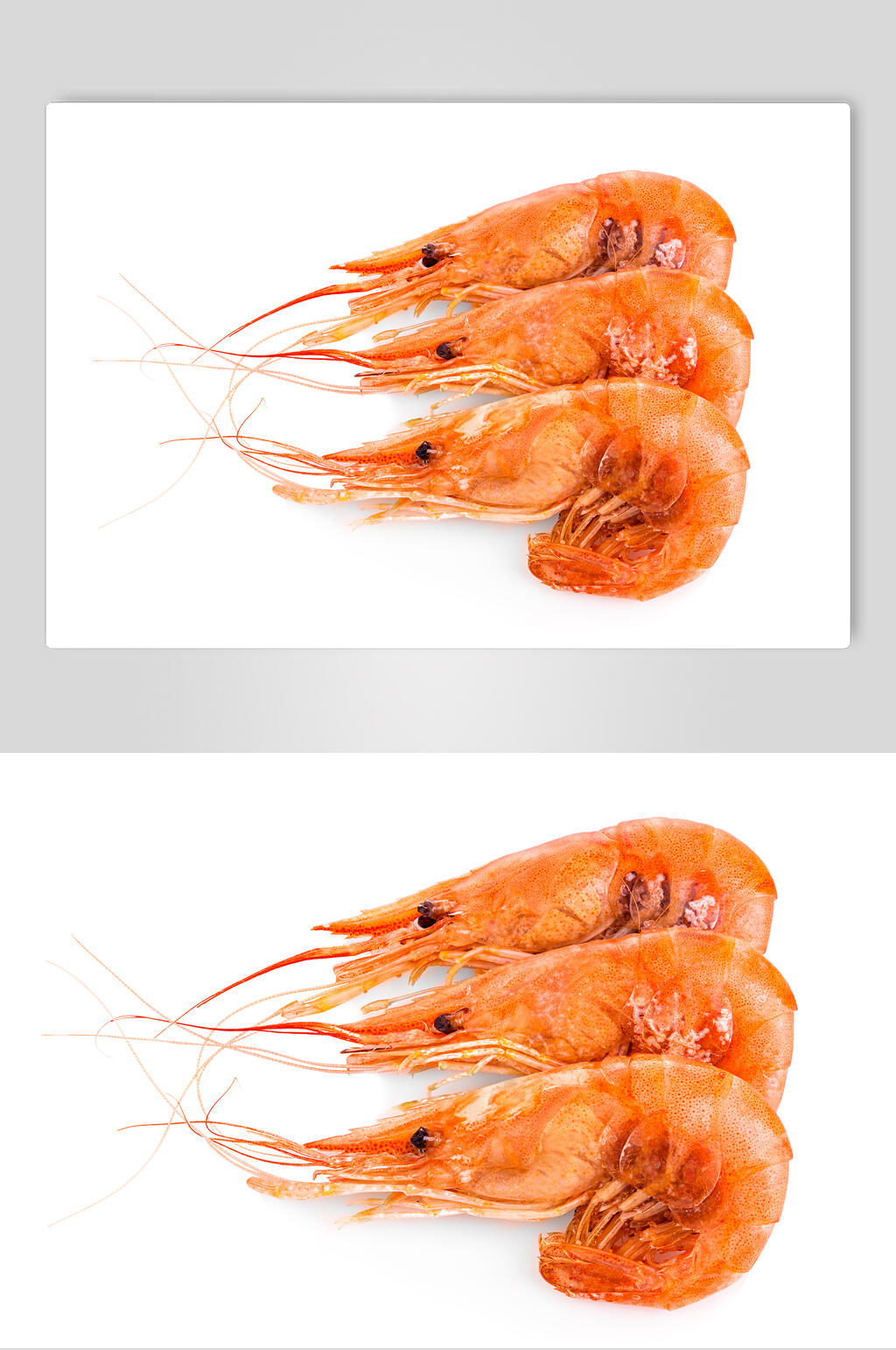 新鲜海鲜明虾虾仁食物图片素材
