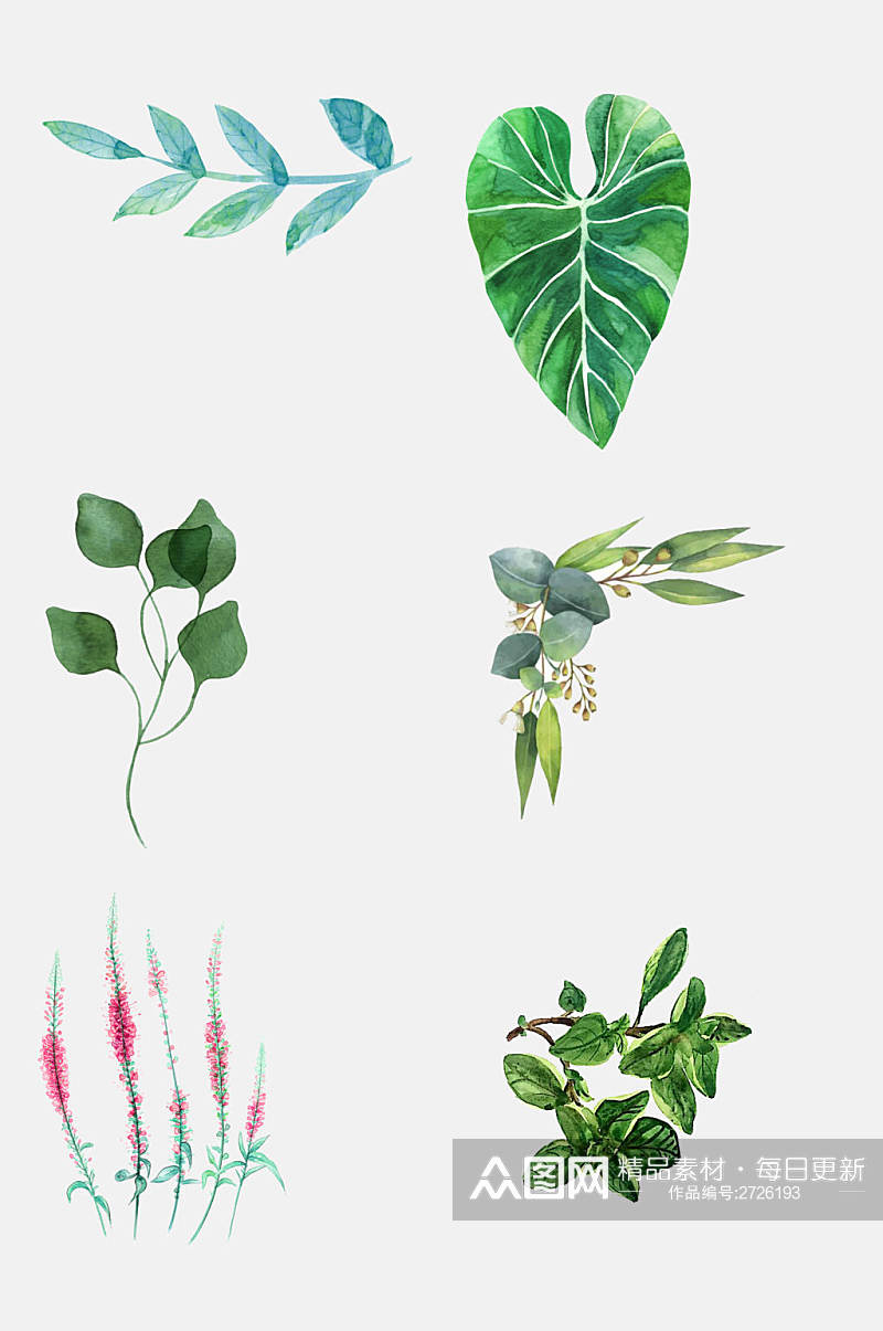 清新简洁植物叶子免抠素材素材
