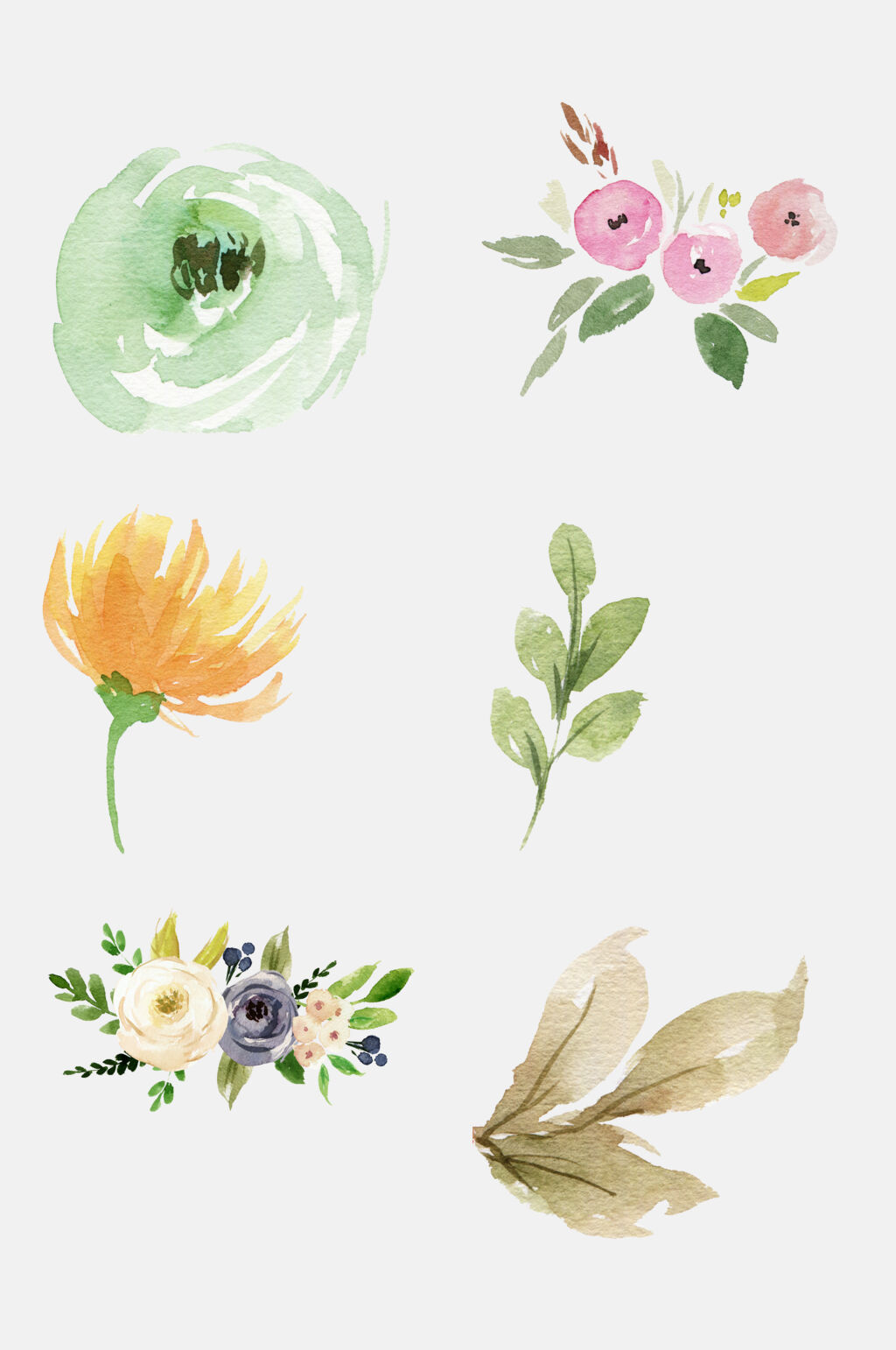 森系水彩婚礼花卉叶子免抠元素