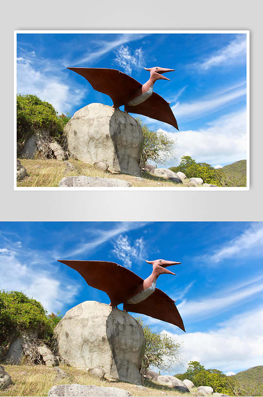 大气精美翼龙动物图片