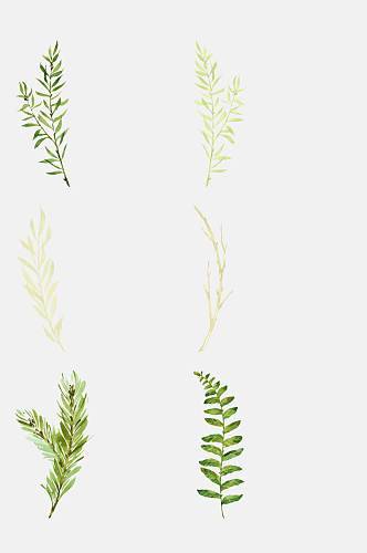 简洁淡雅叶子植物插画免抠素材