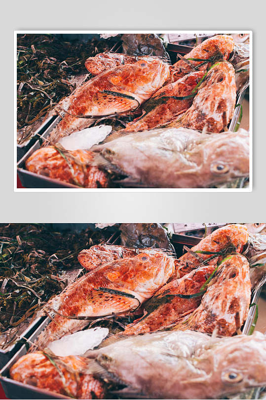 美味水产品海鲜餐饮食品图片