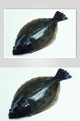 斑鱼海鲜美食餐饮食品图片