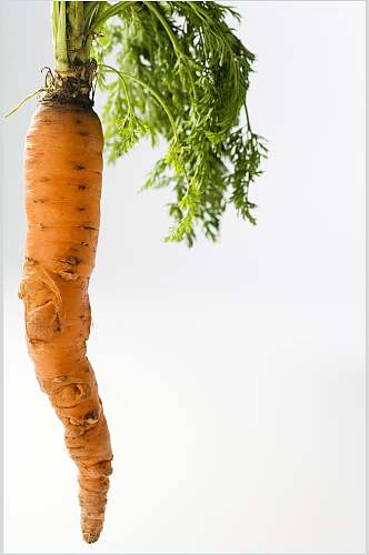 创意胡萝卜蔬菜水果摄影图片
