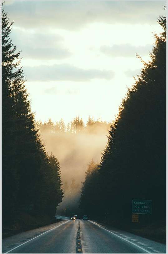 公路森林风景图片