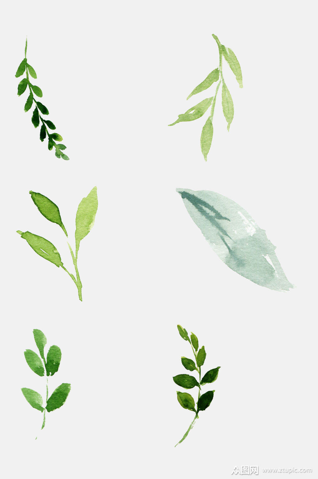 绿色森系水彩婚礼花卉免抠元素