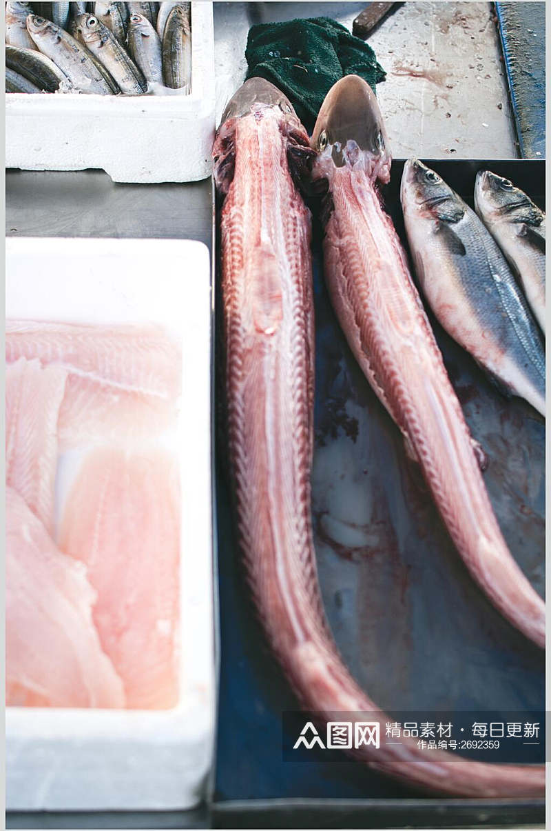 招牌鱿鱼水产品海鲜餐饮摄影图片素材