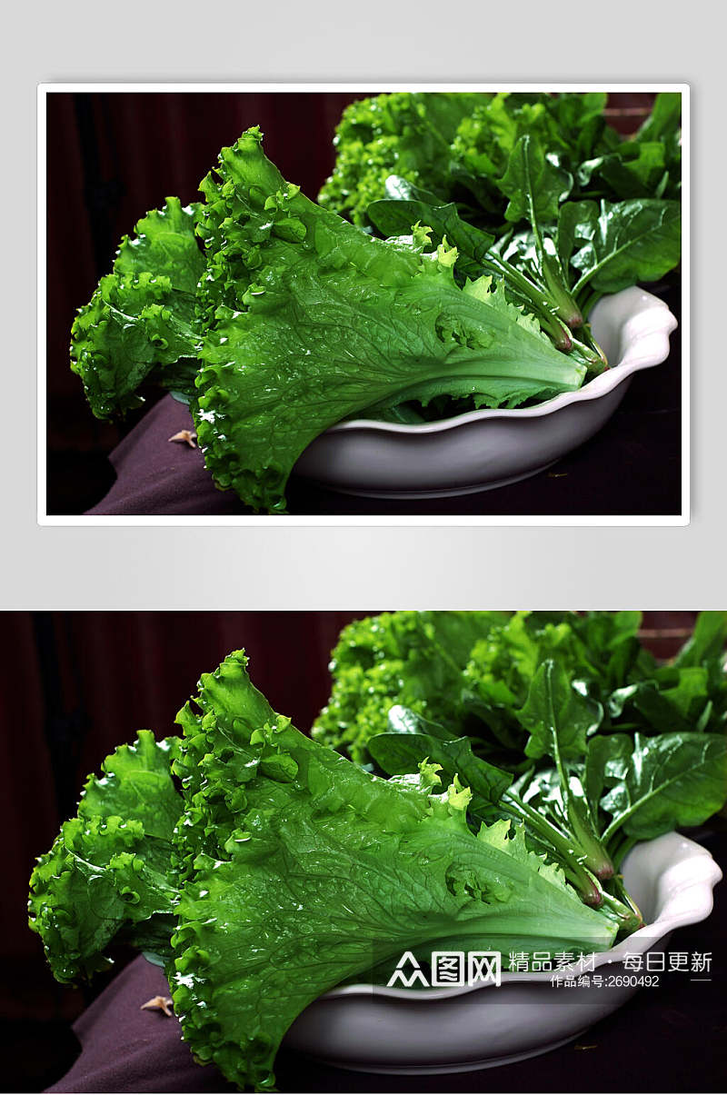 绿色蔬菜食物摄影图片素材
