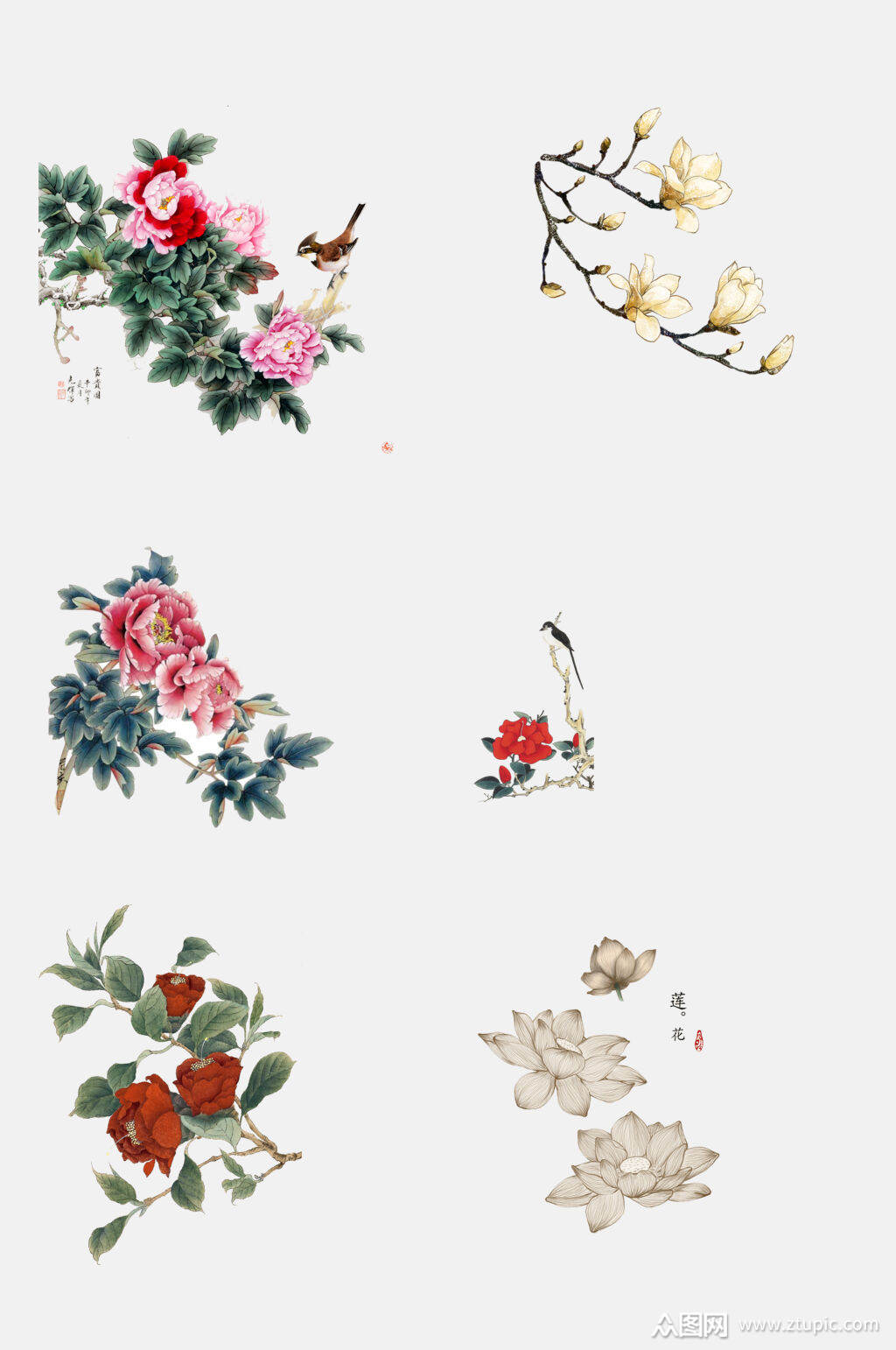 手绘中国古风花卉植物免抠元素素材