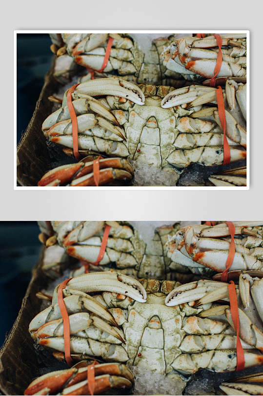 精品美味大螃蟹水产品海鲜餐饮图片