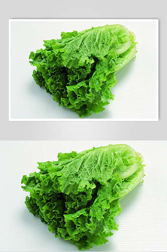 新鲜生菜蔬菜食物摄影图片