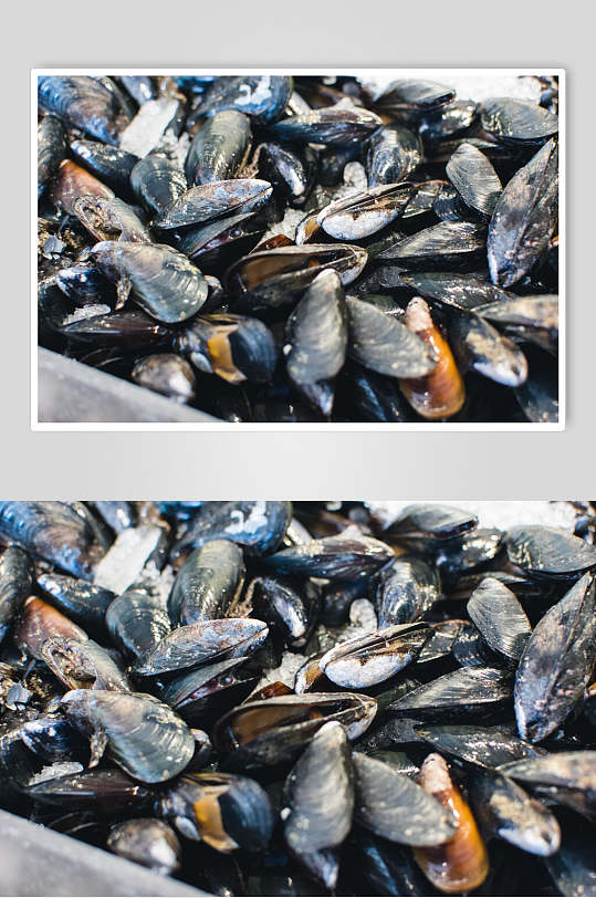 壳类水产品海鲜餐饮食品图片