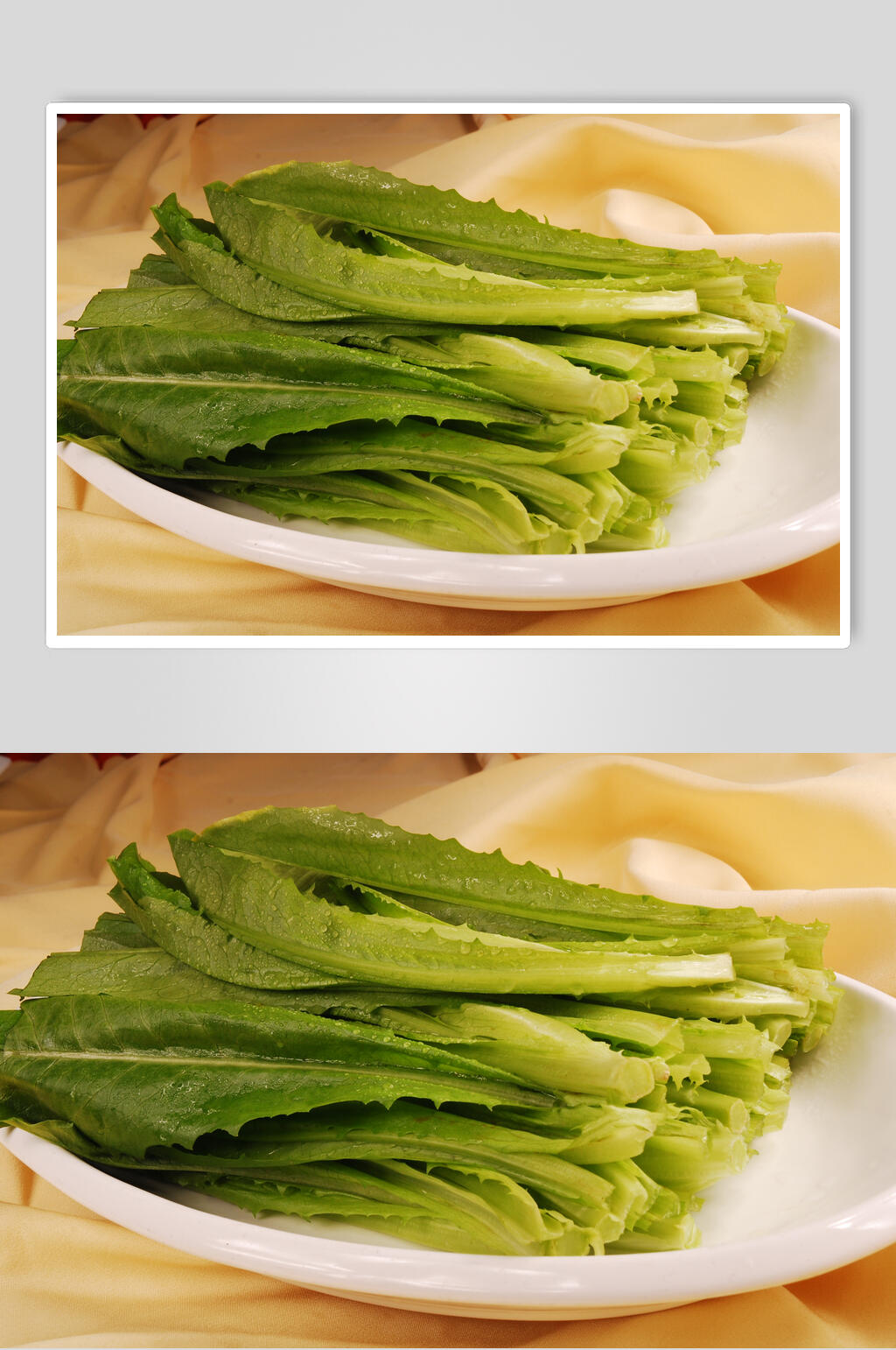 绿色油麦菜食物摄影图片素材