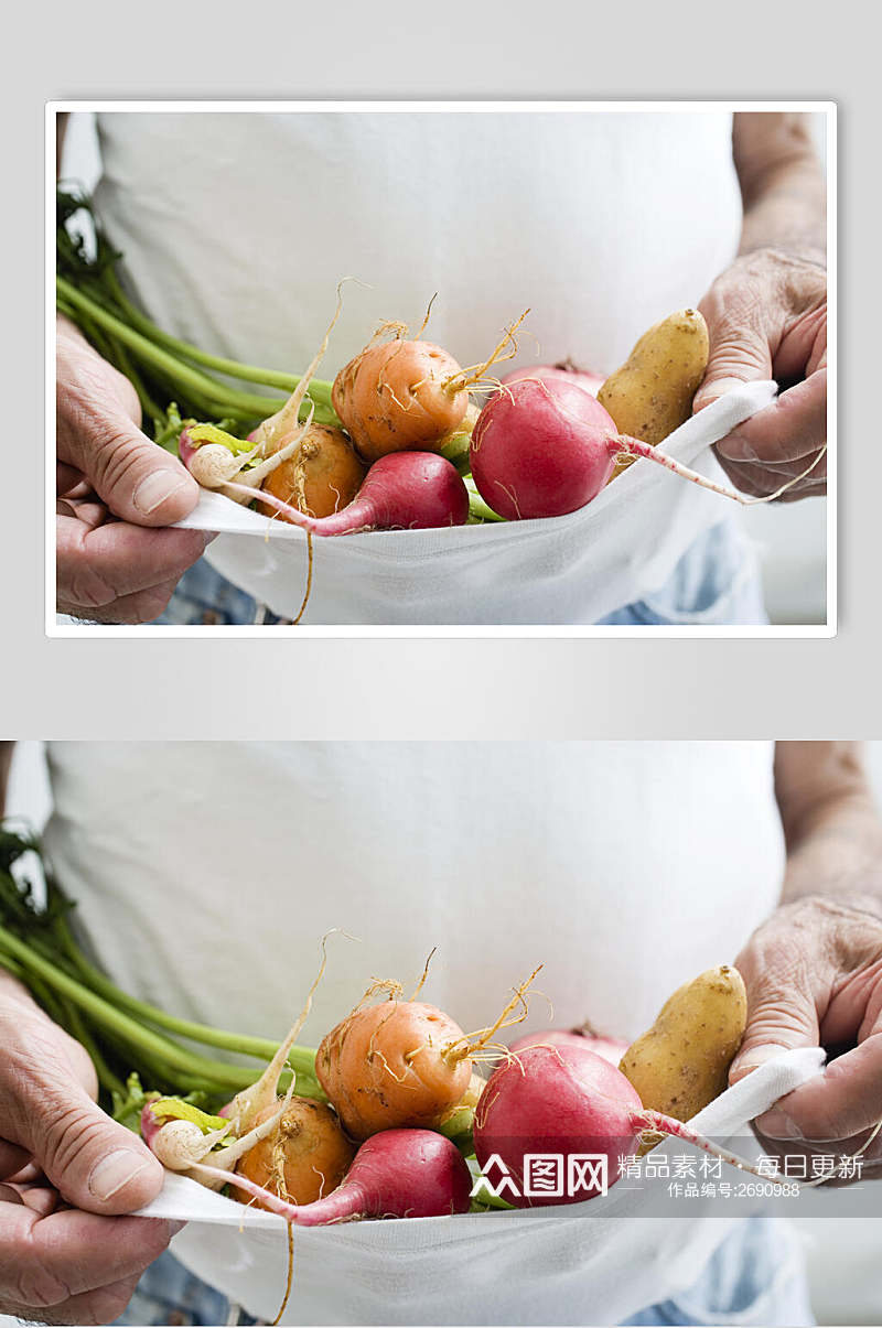 萝卜蔬菜水果食物高清图片素材