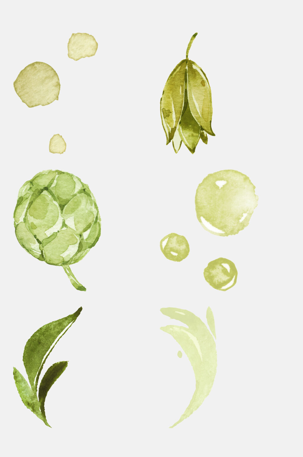 水彩唯美叶子植物插画免抠素材素材