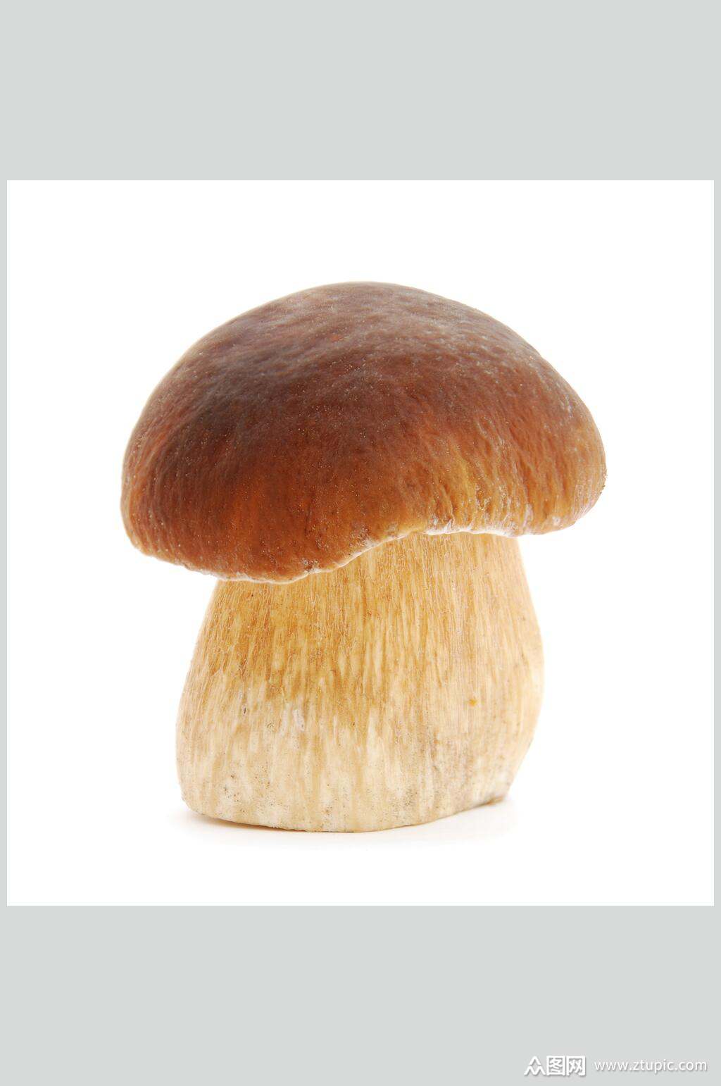 蘑菇蔬菜摄影图片