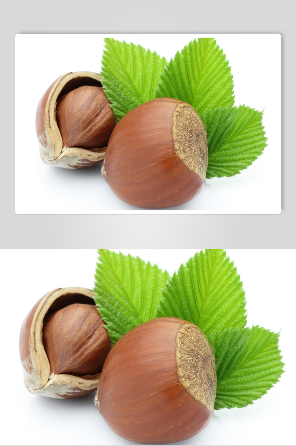 板栗蔬菜水果食物高清图片素材