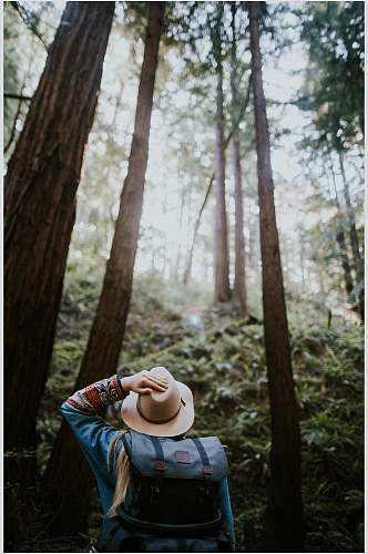 森系森林风景摄影图片