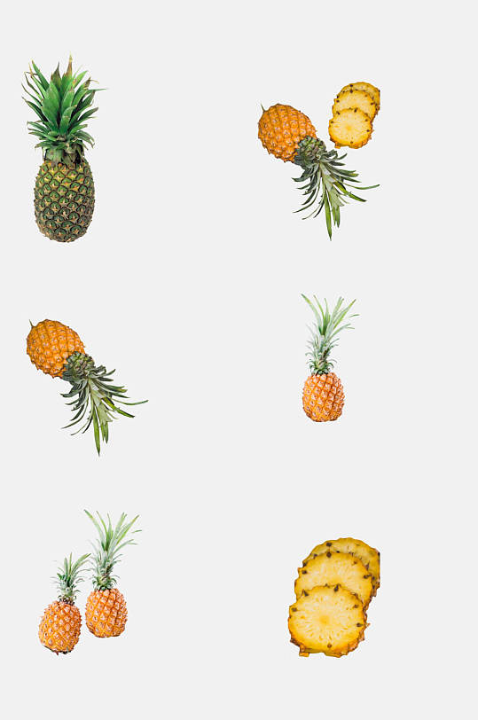 简洁精选水果菠萝免抠素材