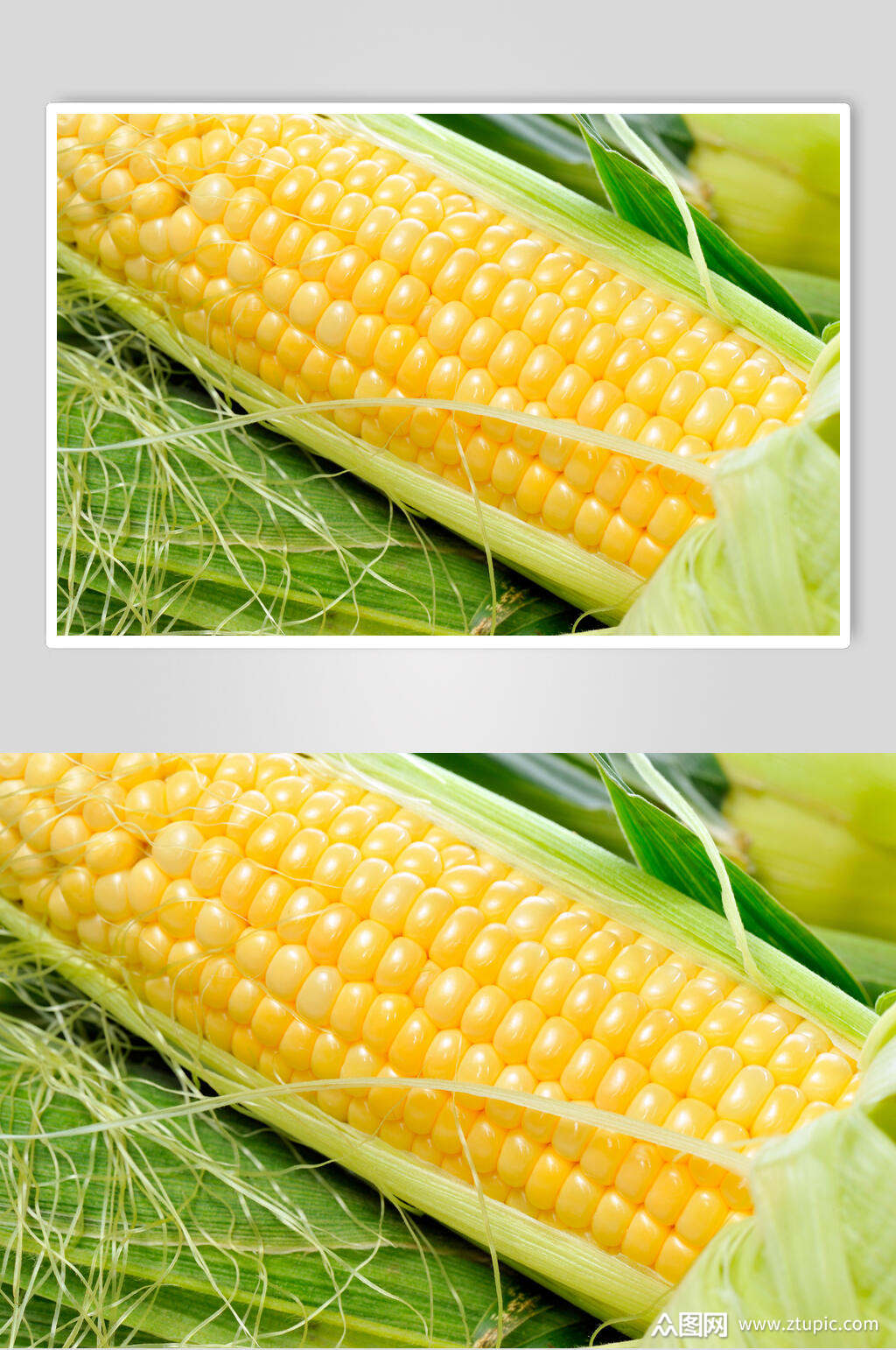 有机玉米食品摄影图片