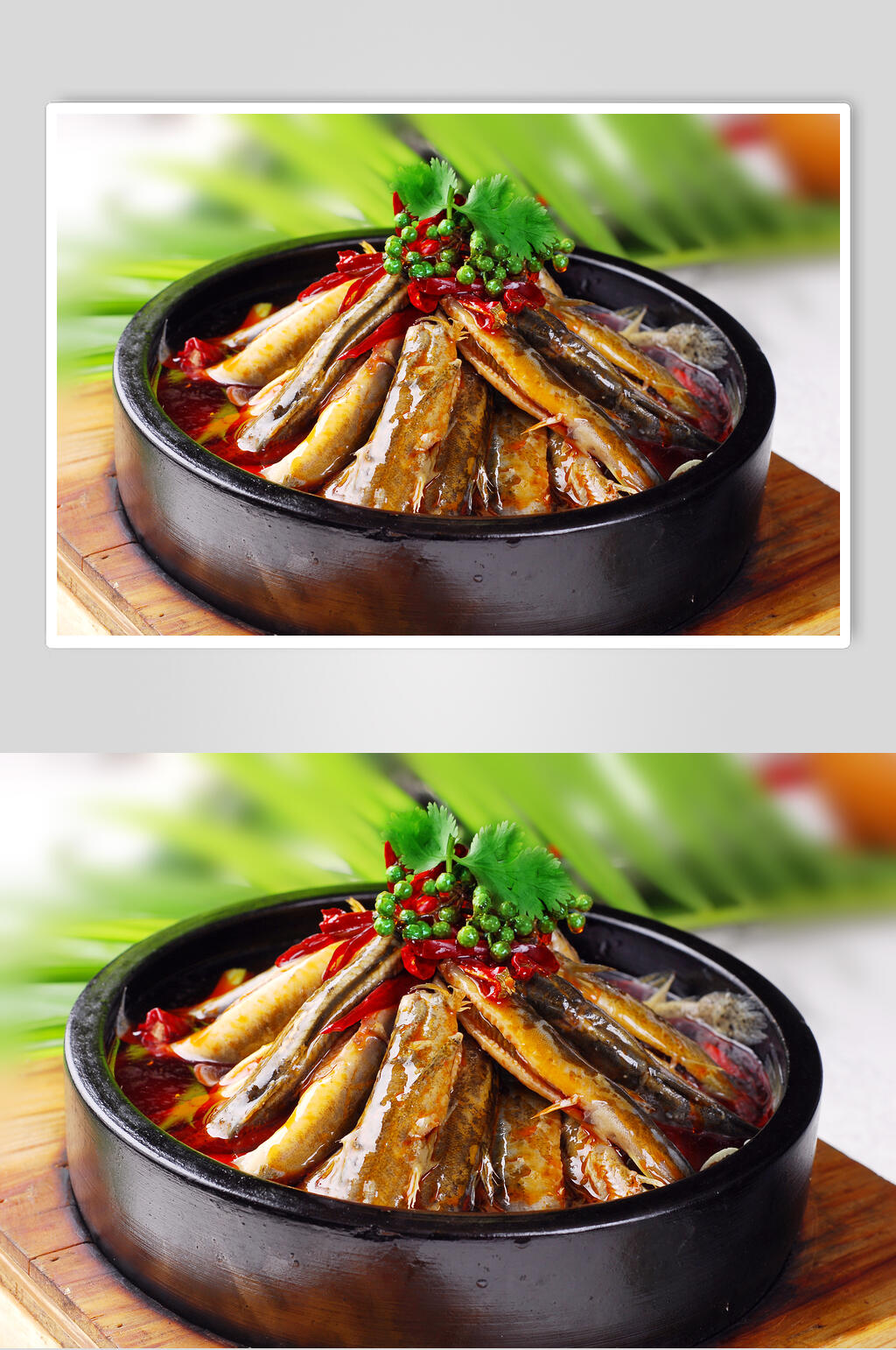 新鲜石锅泥鳅图片素材