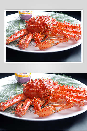 一品帝王蟹食物摄影图片