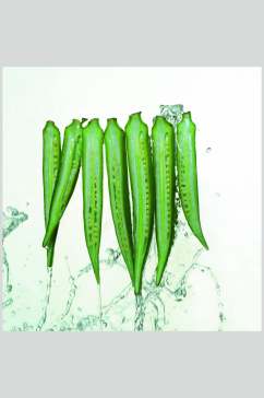 清新绿色秋葵蔬菜摄影图片