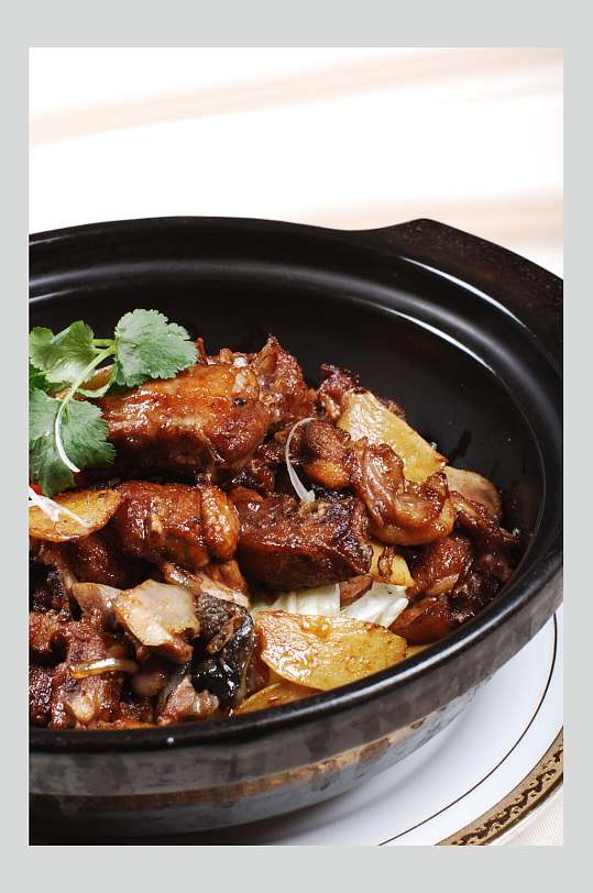 鳄鱼龟红焖大雁鹅图片