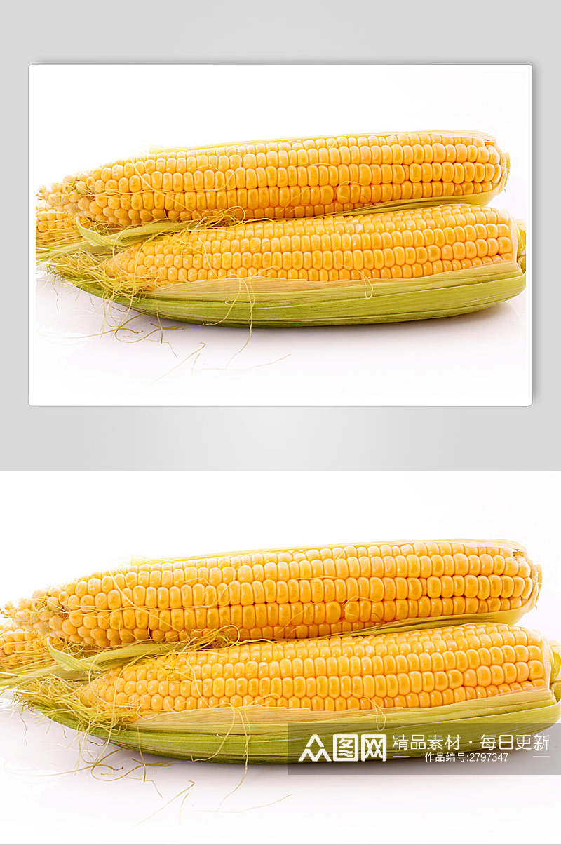 新鲜玉米食品摄影图片素材