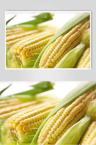清新玉米食品摄影图片