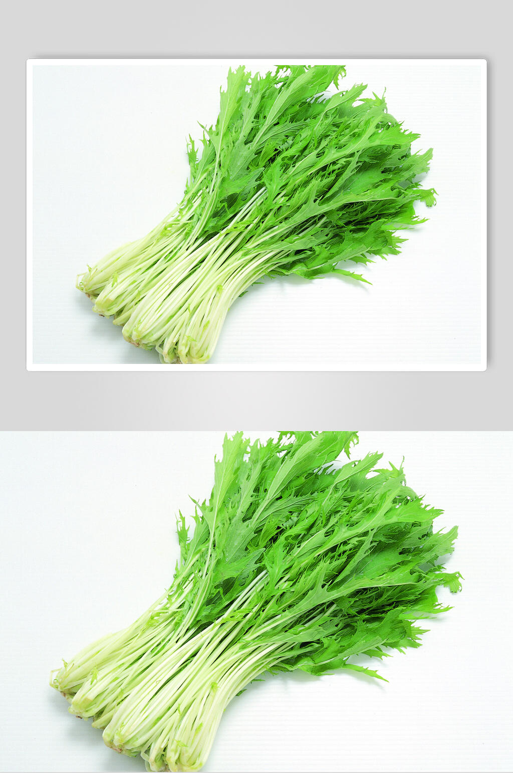 茼蒿菜蔬菜食物高清图片素材