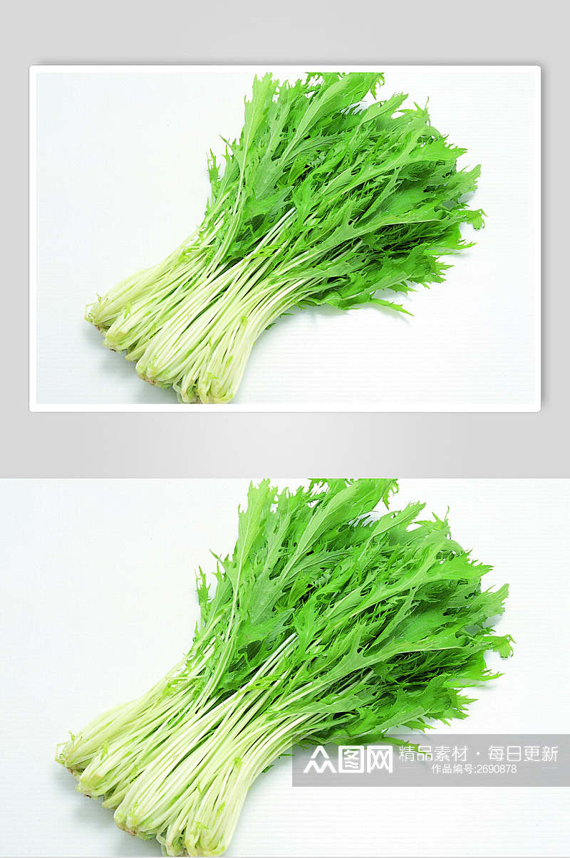 茼蒿菜蔬菜食物高清图片素材