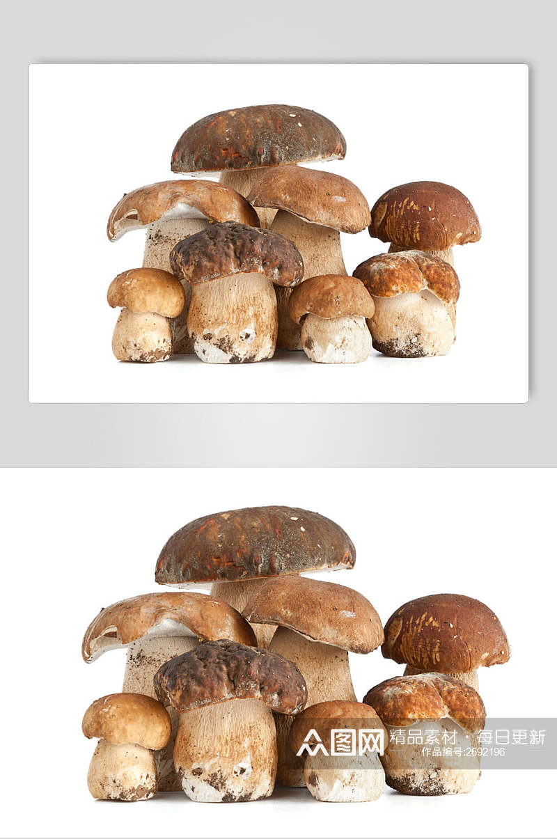 菌子蘑菇蔬菜食物摄影图片素材