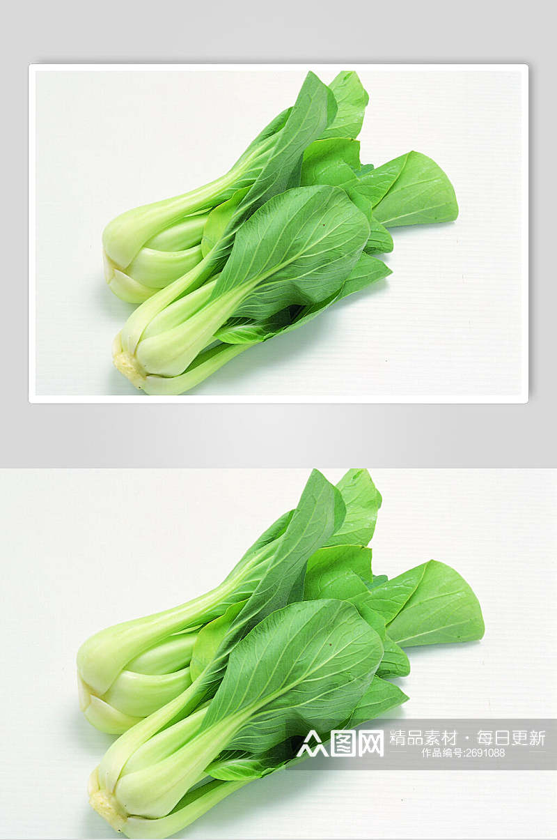 新鲜白菜蔬菜食物摄影图片素材