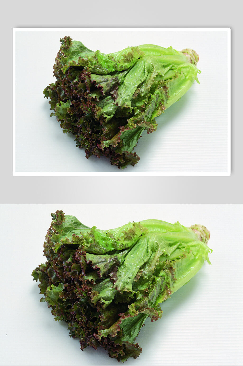 精品生菜蔬菜食物摄影图片素材