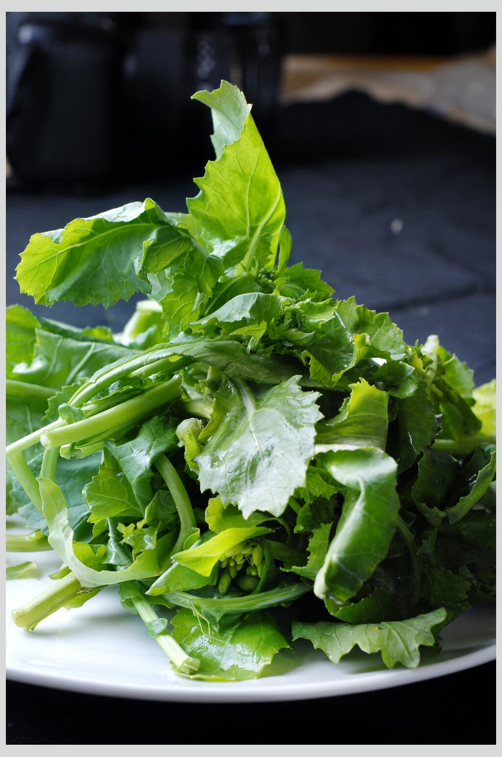 新鲜素油菜食物高清图片素材
