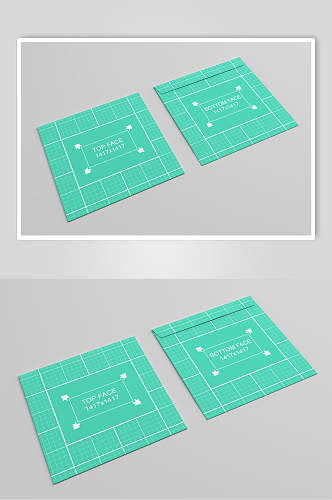 绿色格子办公用品样机
