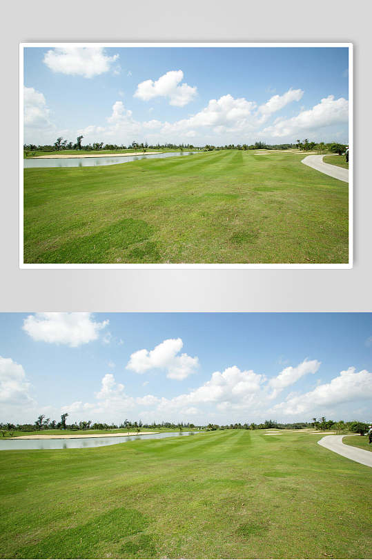 大气春季精粹草地图片