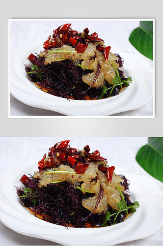 龙须菜蜇头美食图片