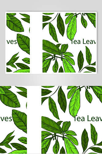 清新茶叶树叶叶子背景矢量设计素材