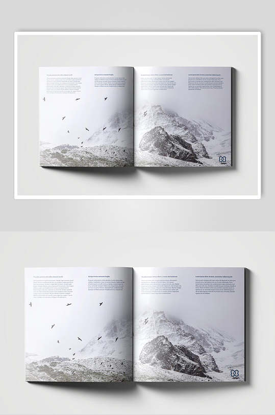 创意大气雪山画册设计展示样机