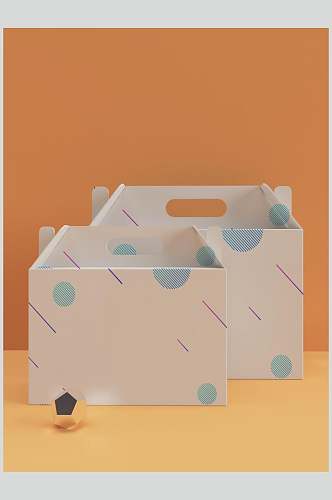 清新个性多边形橙水果月饼纸盒样机