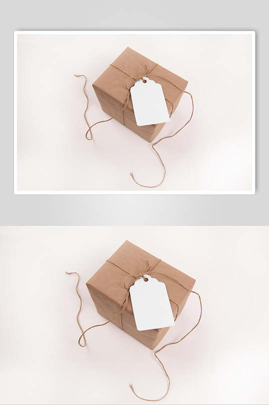 简洁简单包装标签吊牌样机