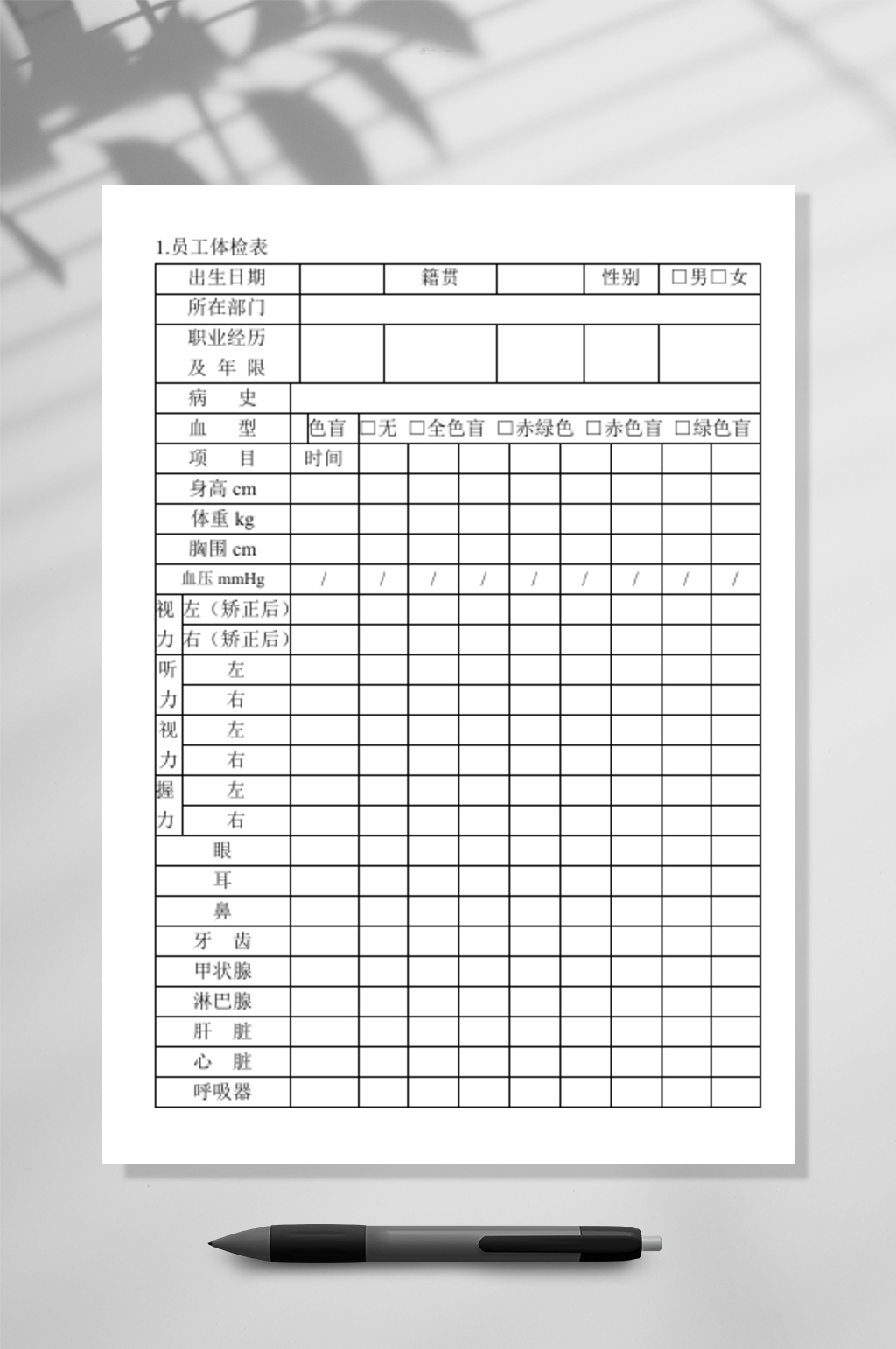 员工体检表格素材