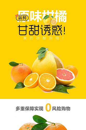 甘甜诱惑柑橘电商食品详情页