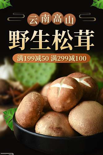 野生松茸食品促销电商详情页
