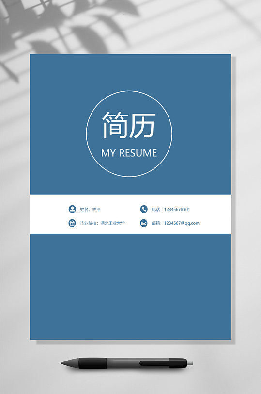 醫(yī)院個(gè)人簡歷WPRD